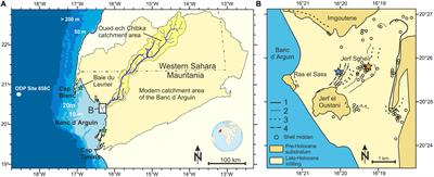 Pronounced Northwest African Monsoon Discharge During the Mid- to Late Holocene